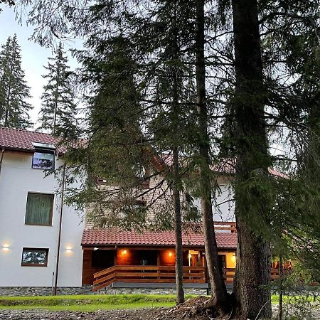 Sidharta Resort Obarsia-Lotrului Dış mekan fotoğraf