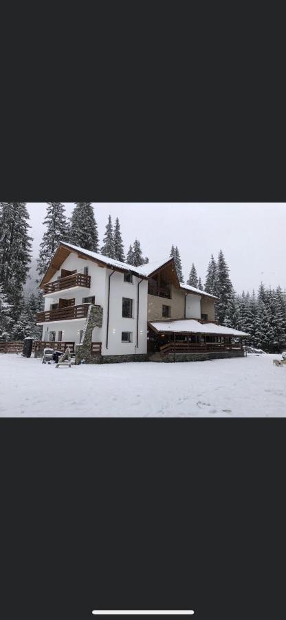 Sidharta Resort Obarsia-Lotrului Dış mekan fotoğraf