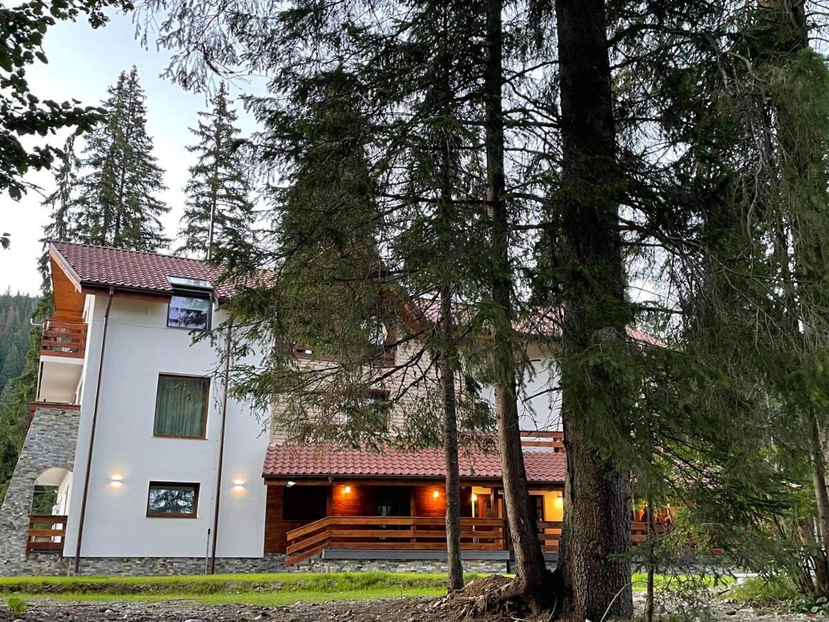 Sidharta Resort Obarsia-Lotrului Dış mekan fotoğraf